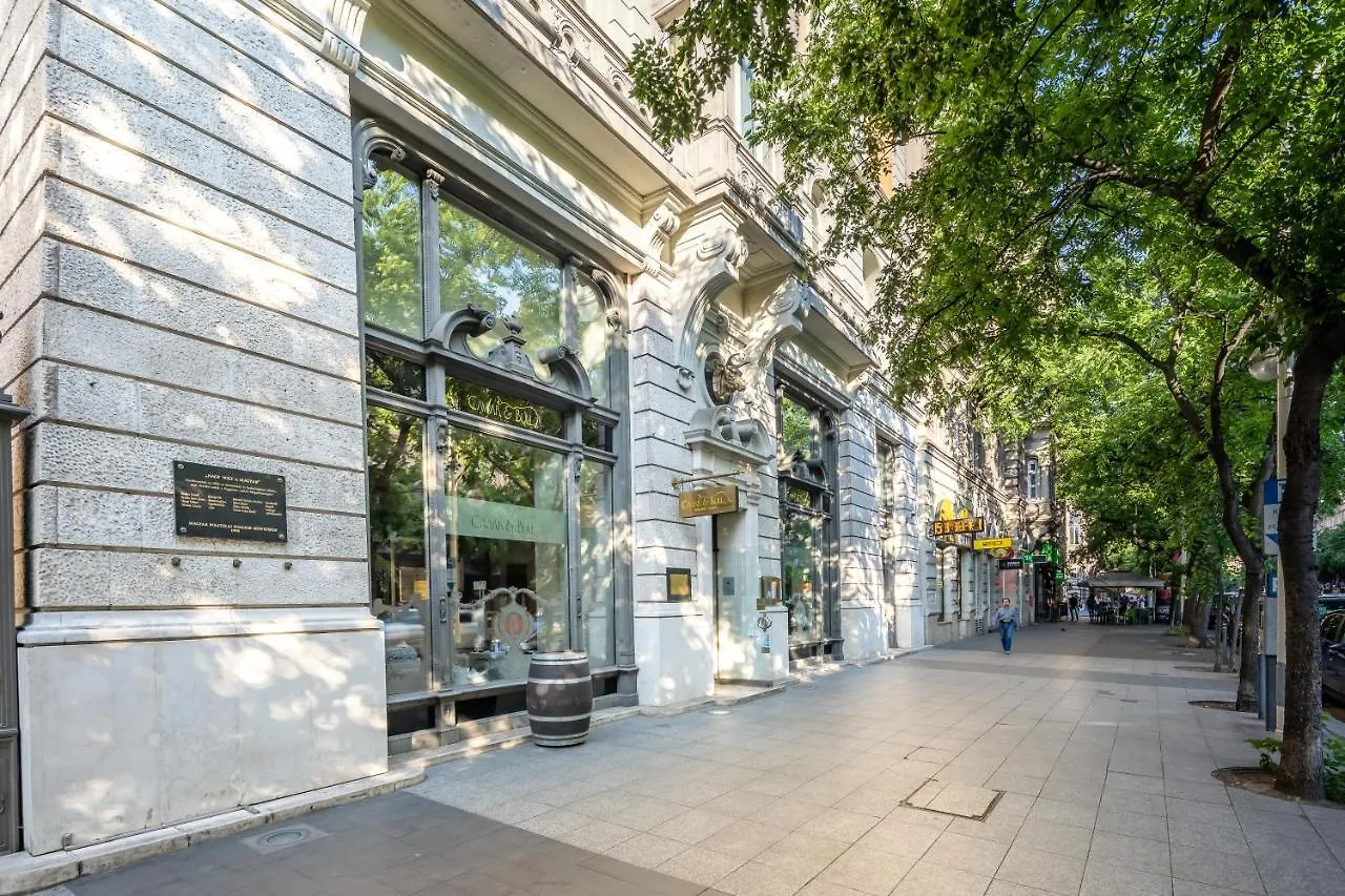 Luxurious Apartments At City Center Budapeşte